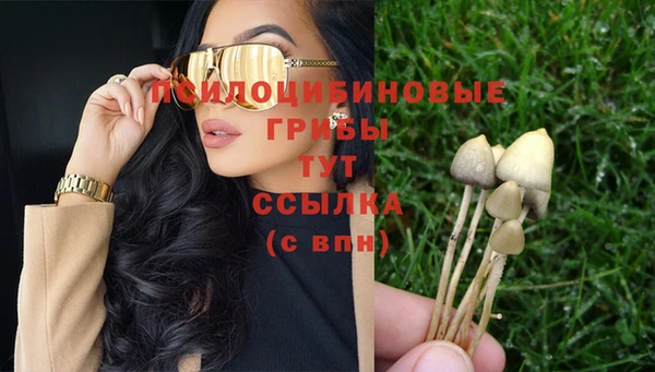дмт Осташков