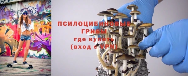 а пвп мука Алзамай
